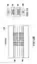 Fig. 09 - High performance interposer for a chip package using deformable button contacts