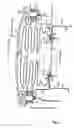 Fig. 02 - Horn switch gear and airbag system