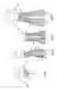 Fig. 03 - Removable and reconfigurable doll clothing