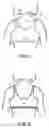 Fig. 02 - Push-up sports bra