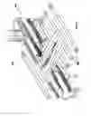 Fig. 09 - Sanding machine