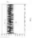 Fig. 07 - Frequency offset compensation in a digital frequency shift keying receiver