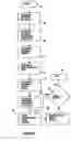 Fig. 03 - Apparatus and method for sending image data