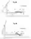 Fig. 09 - Stride adjustment mechanism