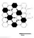 Fig. 01 - Silicon nitride-based composite sintered body and producing method thereof