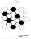 Fig. 02 - Silicon nitride-based composite sintered body and producing method thereof