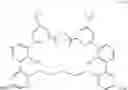Fig. 22 - Bridged bi-aromatic ligands, catalysts, processes for polymerizing and polymers therefrom