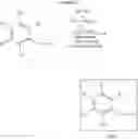 Fig. 24 - Bridged bi-aromatic ligands, catalysts, processes for polymerizing and polymers therefrom