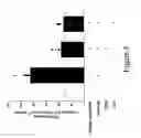 Fig. 17 - Methods and reagents for treating inflammation and fibrosis