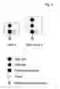 Fig. 12 - Methods and means for producing proteins with predetermined post-translational modifications