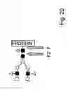 Fig. 35 - Methods and means for producing proteins with predetermined post-translational modifications