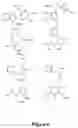 Fig. 08 - Compounds that modulate neuronal growth and their uses