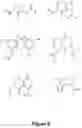 Fig. 09 - Compounds that modulate neuronal growth and their uses
