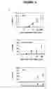 Fig. 04 - Use of soluble fgl2 as an immunosuppressant