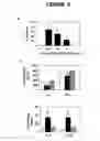 Fig. 06 - Use of soluble fgl2 as an immunosuppressant