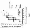 Fig. 03 - Method and composition for treating skin wounds with epidermal growth factor