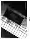 Fig. 09 - Method and composition for treating skin wounds with epidermal growth factor
