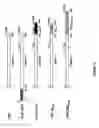 Fig. 03 - Recombinant anticoagulant proteins