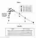 Fig. 02 - Aqueous sustained-release formulations of proteins