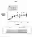 Fig. 04 - Aqueous sustained-release formulations of proteins