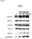 Fig. 14 - Methods of preventing and treating inflammatory bowel disease