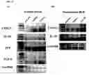 Fig. 59 - Methods of preventing and treating inflammatory bowel disease