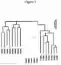Fig. 02 - Method of determining inhibition of binding to TRPM7 protein
