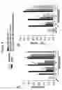 Fig. 05 - Method of determining inhibition of binding to TRPM7 protein