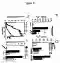 Fig. 07 - Method of determining inhibition of binding to TRPM7 protein