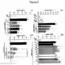 Fig. 08 - Method of determining inhibition of binding to TRPM7 protein