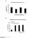 Fig. 15 - Method of determining inhibition of binding to TRPM7 protein