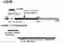 Fig. 01 - Genes associated with the maintenance of differentiation of smooth muscle cells
