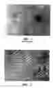 Fig. 02 - Synthetic compounds and compositions with enhanced cell binding