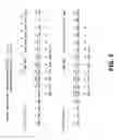 Fig. 04 - Endotheliase-1 ligands