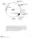 Fig. 02 - Canine GHRH gene, polypeptides and methods of use