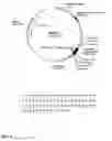 Fig. 09 - Canine GHRH gene, polypeptides and methods of use