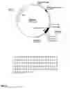 Fig. 10 - Canine GHRH gene, polypeptides and methods of use