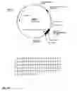 Fig. 11 - Canine GHRH gene, polypeptides and methods of use