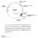 Fig. 15 - Canine GHRH gene, polypeptides and methods of use