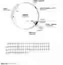 Fig. 18 - Canine GHRH gene, polypeptides and methods of use