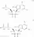 Fig. 08 - Methods of inhibiting orthopoxvirus replication with nucleoside compounds