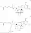 Fig. 09 - Methods of inhibiting orthopoxvirus replication with nucleoside compounds