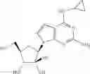 Fig. 19 - Methods of inhibiting orthopoxvirus replication with nucleoside compounds