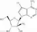 Fig. 26 - Methods of inhibiting orthopoxvirus replication with nucleoside compounds