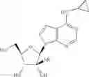 Fig. 41 - Methods of inhibiting orthopoxvirus replication with nucleoside compounds