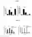 Fig. 08 - Non-viral gene delivery system