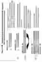 Fig. 16 - RNA interference mediated inhibition of platelet-derived endothelial cell growth factor (ECGF1) gene expression using short interfering nucleic acid (siNA)