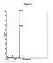 Fig. 03 - RNA interference mediated inhibition of ADAM33 gene expression using short interfering nucleic acid (siNA)
