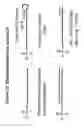 Fig. 13 - RNA interference mediated inhibition of ADAM33 gene expression using short interfering nucleic acid (siNA)