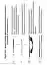 Fig. 15 - RNA interference mediated inhibition of ADAM33 gene expression using short interfering nucleic acid (siNA)